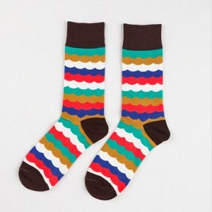 The Rainbow - FSS1009